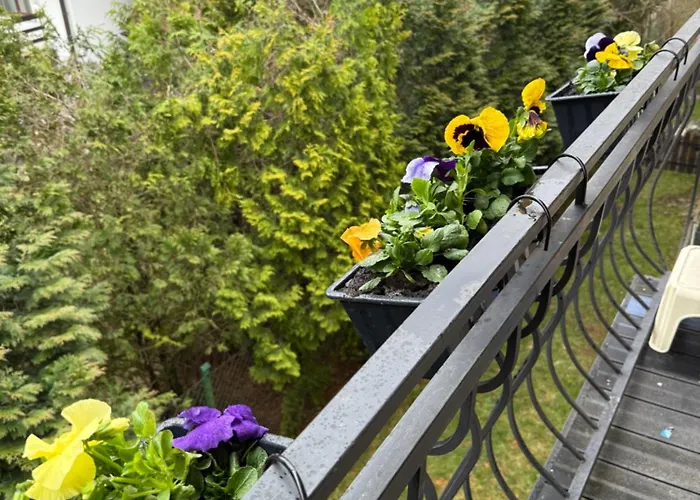 Apartamento Owieczka *